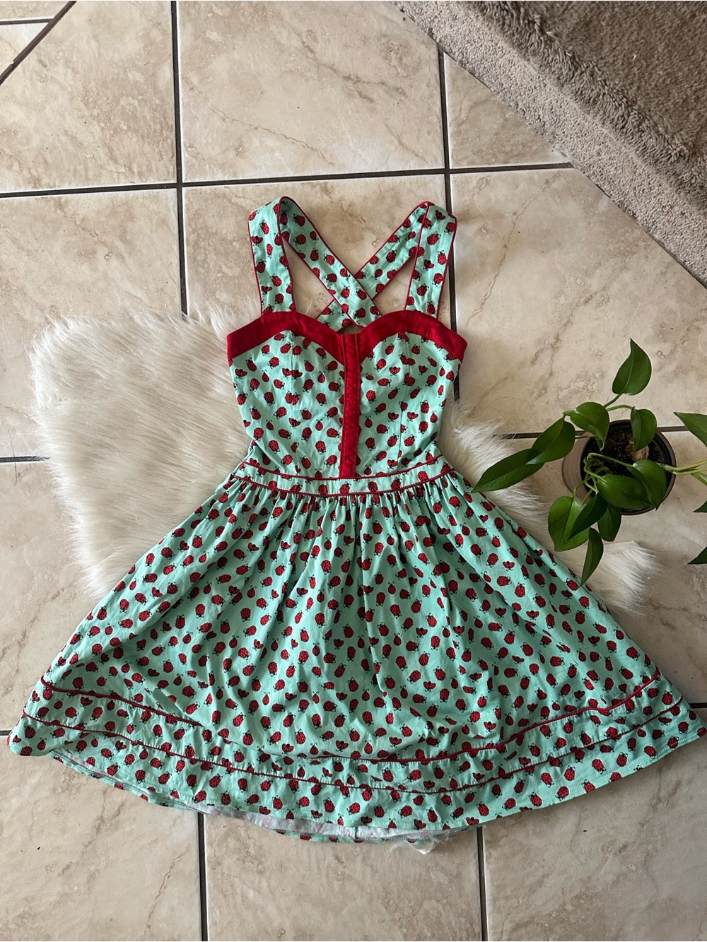 Voodoo Vixen Ladybird Dress